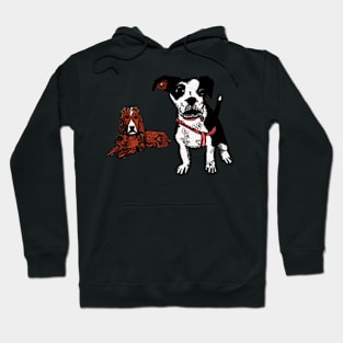 Daisy and Zephyr Hoodie